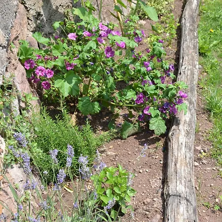 Kristplonerhof Apartament