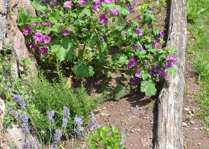 Kristplonerhof Apartmán